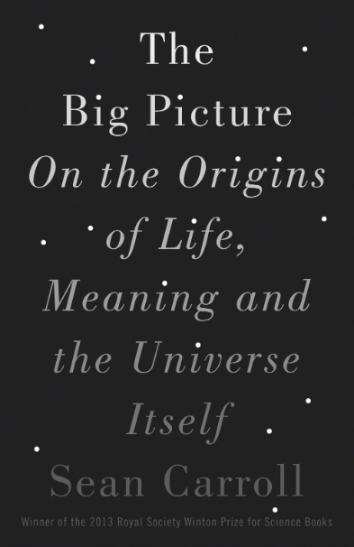 The big picture : on the origins of life, meaning, and the universe itself